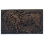 Franges-Mihanovic Róbert (1872-1940) 1907. "Európa" bronz plakett, Éremkedvelők Egyesületének tagsági érme, peremén hibás "EKÉ 1907" felirattal, sorszámozott, "146"-os sorszámmal (42x70mm) T:AU Hungary 1907. "Europa" one-sided bronze plaque, membership me