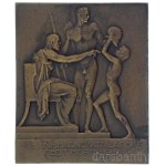 Telcs Ede (1872-1948) 1924. "Az élet semmit sem adott az emberiségnek nagy erőfeszítések nélkül" bronz plakett latin nyelvű Horatius idézettel "NIL SINE MAGNO VITA LABORE DEDIT MORTALIBUS" (69x60mm) T:AU,XF / Hungary 1924. "Life grants nothing to us morta