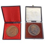 Rendkívül tartalmas, a 20. századot átölelő Liszt Ferenc plakett, emlékérem és forint emlékérme tétel, benne: Csúcs Ferenc (1905-1999) 1951. "Liszt / Rapszódia" jelzetlen, öntött Ag, "1"-es számjelzéssel a peremen (328,05g/75mm) Iván István (1905-1968) DN