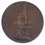 E. Lakatos Aranka (1952-) DN "Prof. Dr. Rák Kálmán / SALUS AEGROTI SUPREMA LEX ESTO (A beteg biztonsága a végső törvény)" kétoldalas öntött bronz emlékplakett (88mm) T:AU Hungary 1992. "Prof. Dr. Rák Kálmán / SALUS AEGROTI SUPREMA LEX ESTO (Patient