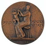 Gáti Gábor (1937-) 1974. "Scipiades Elemér 1875-1944. / PRO MATERNITATE" kétoldalas öntött bronz plakett (~77mm) T:AU
