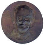 Hetés György (1921-1998) 1957 k. "Zinner Nándor a Budapesti Ortopédiai Klinika igazgatója 1951-57" egyoldalas öntött bronz emlékplakett (~106mm) T:AU Hungary ~1957. "Zinner Nándor a Budapesti Ortopédiai Klinika igazgatója 1951-57" (Nándor Zinner, director