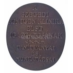 Kalmár Márton (1946-) 1983 k. "Prof. Dr. Szenes Tibor / A Szegedi Röntgen Klinika első igazgatójának - Tanítványai és munkatársai" kétoldalas öntött bronz emlékplakett (103x90mm) T:AU Hungary ~1983. "Prof. Dr. Szenes Tibor / A Szegedi Röntgen Klinika első