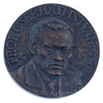 Kalmár Márton (1946-) 1986. "Prof. Cserháti István 1930-1986" egyoldalas öntött bronz emlékplakett (115mm) T:AU patina Hungary 1986. "Prof. István Cserháti 1930-1986" one-sided cast bronze commemorative plaque. Sign.: Márton Kalmár (1946-) (115mm) C:AU pa