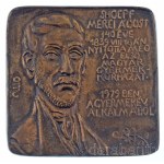 Osváth Mária (1921-1998) 1979. "Dr. Shoepf Merei Ágost 140 éve 1839. VIII. 16-án nyitotta meg az első magyar gyermekkórházat - 1979-ben a gyermekév alkalmából" egyoldalas öntött bronz emlékplakett (99x99mm) T:AU Hungary 1979. "Dr. Shoepf Merei Ágost 140 é