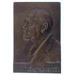 Radnai Béla (1873-1923) 1911. "Dr. Szegvári László" egyoldalas öntött bronz plakett (97x144mm) T:AU Hungary 1911. "Dr. László Szegvári" one-sided cast bronze plaque. Sign.: Béla Radnai (97x144mm) C:AU HP 3874.