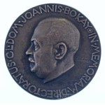 Reményi József (1887-1977) 1924. "In memoriam directoratus Cl Dom Joannis Bokay - Octo lustrorum in nosocomio infantium Budapestiensi Stefanie dicto 1884-1924" bronz öntött kétoldalas emlékérem (60mm) T:AU Hungary 1924. "In memoriam directoratus Cl Dom Jo