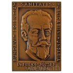1965. "Országos Közegészségügyi Intézet Budapest / Dr. Fodor József 1843-1901" bronz kétoldalas emlékplakett (69x50mm) T:AU Hungary 1965. "Országos Közegészségügyi Intézet Budapest / Dr. Fodor József 1843-1901" bronze double-sided commemorative plaque (69