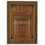 1965. "Országos Közegészségügyi Intézet Budapest / Dr. Fodor József 1843-1901" bronz kétoldalas emlékplakett (69x50mm) T:AU Hungary 1965. "Országos Közegészségügyi Intézet Budapest / Dr. Fodor József 1843-1901" bronze double-sided commemorative plaque (69