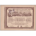 1897. Budapest "Magyar Északnyugoti H. É. (Helyi Érdekű) Vasút Részvény Társaság" törzsrészvénye 200K-ról, szárazpecséttel T:AU,XF hajtatlan, de javított szakadás Hungary 1897. Budapest "Hungarian Northwestern Local Interest Railway Share Company" share a