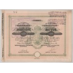 1899. Budapest "Magyar Királyi Szabadalmazott Osztálysorsjáték Részvénytársaság" részvénye 500K-ról "6993", felülbélyegzésekkel, szárazpecséttel, szelvényekkel T:AU fo. Hungary / Budapest 1899. "Magyar Királyi Szabadalmazott Osztálysorsjáték Részvénytársa