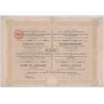 Ausztria / Bécs 1898. "Cs. Kir. Szab. Déli Vaspálya-Társaság" élvezeti részvénye 200K-ról, szelvényekkel, szárazpecséttel T:XF javított Austria / Vienna 1898. "Cs. Kir. Szab. Déli Vaspálya-Társaság" bonus share with coupons and embossed stamp C:XF restore