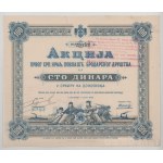 Szerb királyság / Belgárd 1895. "Első Szerb Királyi Hajózási Társaság" részvénye 1000D-ról, szelvényekkel T:XF Kingdom of Serbia / Belgrade 1895. "First Royal Serbian Nautical Company" share about 1000 Dinara with coupons C:XF