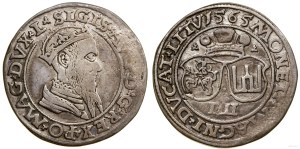 Polska, czworak, 1565, Wilno