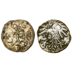Polska, denar, 1559, Wilno