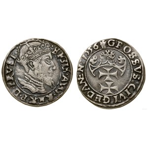 Poland, grosz, 1556, Gdańsk