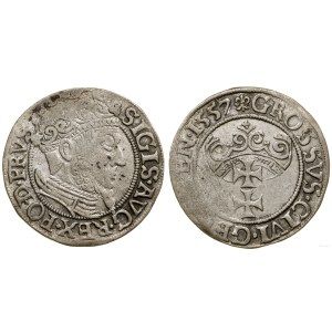 Polska, grosz, 1557, Gdańsk