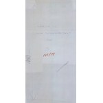 Natalia Lach-Lachowicz \ NATALIA LL (1937, Żywiec – 2022, Wrocław), Consumer Art, 1974