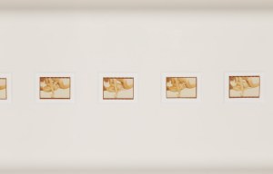 Natalia Lach-Lachowicz \ NATALIA LL (1937 Żywiec - 2022 Wrocław), 