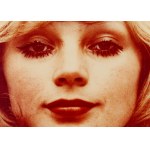 Natalia Lach-Lachowicz \ NATALIA LL (1937, Żywiec – 2022, Wrocław), Post-Consumer Art, 1975