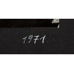 Natalia Lach-Lachowicz \ NATALIA LL (1937, Żywiec – 2022, Wrocław), “Places 1,500 km Apart” from the series “Permanent Registration,” 1971