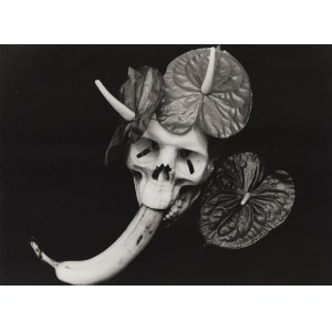 Natalia Lach-Lachowicz \ NATALIA LL (1937, Żywiec – 2022, Wrocław), Brunhilda's Dreams, 1993