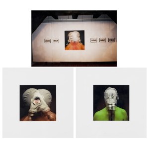 Natalia Lach-Lachowicz NATALIA LL (1937, Żywiec – 2022, Wrocław), Volucres Coeli (Birds of the Sky) – a set of 3 photographs, 2002–2003