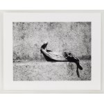 Alina Szapocznikow (1926, Kalisz – 1973, Praz-Coutant), Photo-Sculptures – a series of 20 photographs, 1971