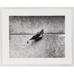 Alina Szapocznikow (1926, Kalisz – 1973, Praz-Coutant), Photo-Sculptures – a series of 20 photographs, 1971
