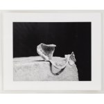 Alina Szapocznikow (1926, Kalisz – 1973, Praz-Coutant), Photo-Sculptures – a series of 20 photographs, 1971