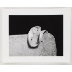 Alina Szapocznikow (1926, Kalisz – 1973, Praz-Coutant), Photo-Sculptures – a series of 20 photographs, 1971