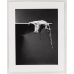 Alina Szapocznikow (1926, Kalisz – 1973, Praz-Coutant), Photo-Sculptures – a series of 20 photographs, 1971