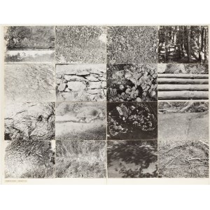 Maria Michałowska (1925, Brzeżany – 2018, Wrocław), Topography of the Landscape, 1975