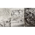 Maria Michałowska (1925, Brzeżany – 2018, Wrocław), Topography of the Landscape, 1975