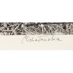Maria Michałowska (1925, Brzeżany – 2018, Wrocław), Topography of the Landscape, 1975
