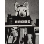 Marek Piasecki (1935, Warsaw – 2011, Lund), Untitled – a set of 2 photographs, 1960