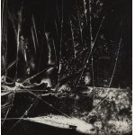 Bronisław Schlabs (1920, Poznań – 2009, Poznań), Fotogram 72/58, 1958