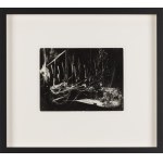 Bronisław Schlabs (1920, Poznań – 2009, Poznań), Fotogram 72/58, 1958