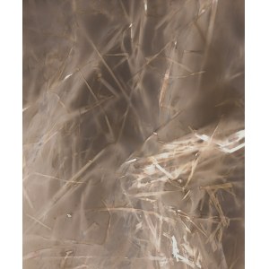 Jiri Sigut (b. 1963), Grass 3 from the series Records, 2000