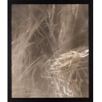Jiri Sigut (b. 1963), Grass 3 from the series Records, 2000