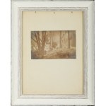 Jan Bułhak (1876, Ostaczyn near Nowogródek – 1950, Giżycko), Landscape, 1920s–1930s.