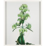 Paweł Bownik (b. 1977, Janów Lubelski), From the series Disassembly, 2013