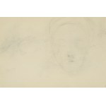Włodzimierz TETMAJER (1861–1923), Sketches of Hens and a Rooster