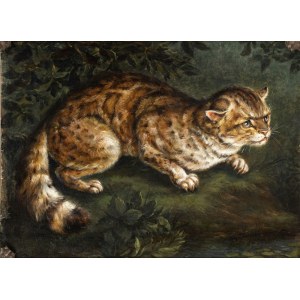 Artista nord-europeo, XIX secolo, Wild cat