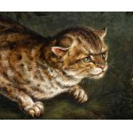 Artista nord-europeo, XIX secolo, Wild cat