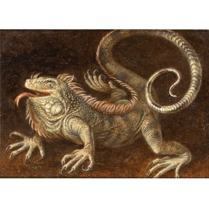 Artista nord-europeo, XIX secolo, Iguana