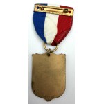 POLISH DIASPORA AWARD FOR OUTSTANDING SERVICE FROM THE PNA - POLISH NATIONAL UNION - USA