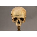 Memento mori (I)