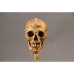 Memento mori (II)