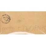 Edward Dwurnik (1943 Radzymin - 2018 Warszawa), Dwurnik-Nikifor, 2015